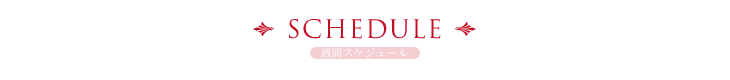 週間スケジュール